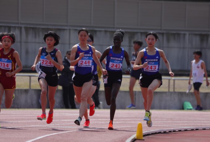 RELATED NEWS 関連記事